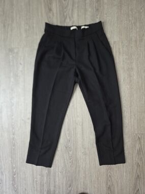 Aritzia Black Tailored Pleated Pants